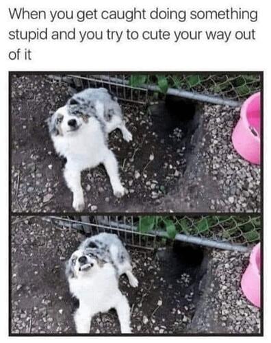 cuteway