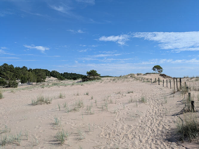 PXL_20260711_133623391
