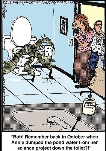 toiletpondwater