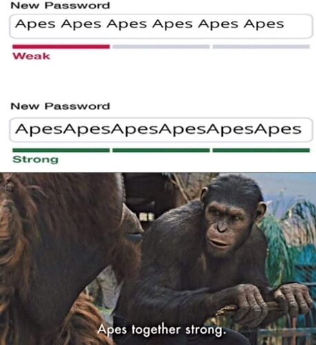 450808927_1036435047850874_5555735614926711592_n