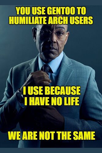 17461132798776631711353681460984