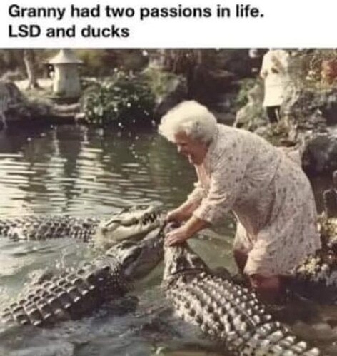 granny-had-two-passions-life-lsd-and-ducks