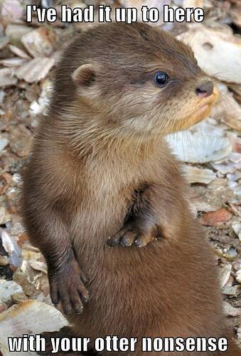 Funny-Nonsense-Meme-I-Have-Had-It-Up-To-Here-With-Your-Otter-Nonsense-Picture