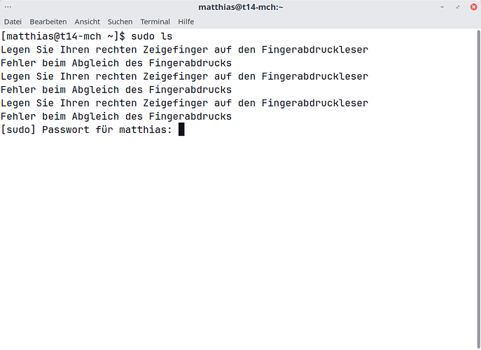 sudo password entry after fingerprint detection failure