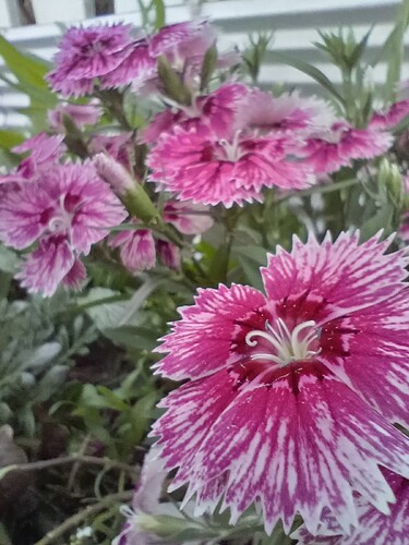 20240619_165422_HDR
