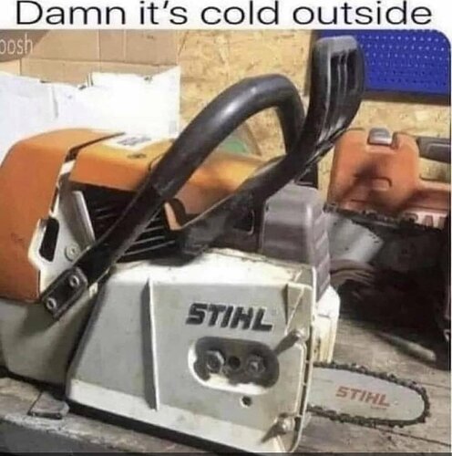 damnitscold