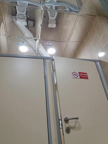 mirroredbathroomceiling