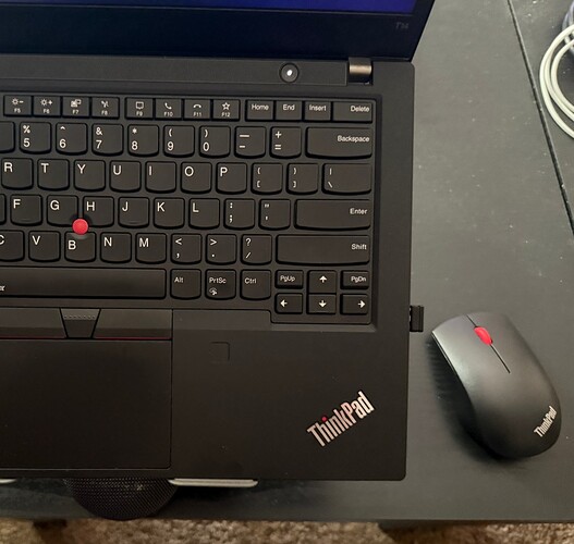 Mouse.jpg