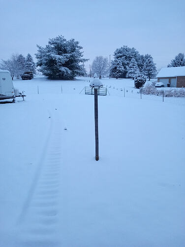 IMG_20251202_080153662