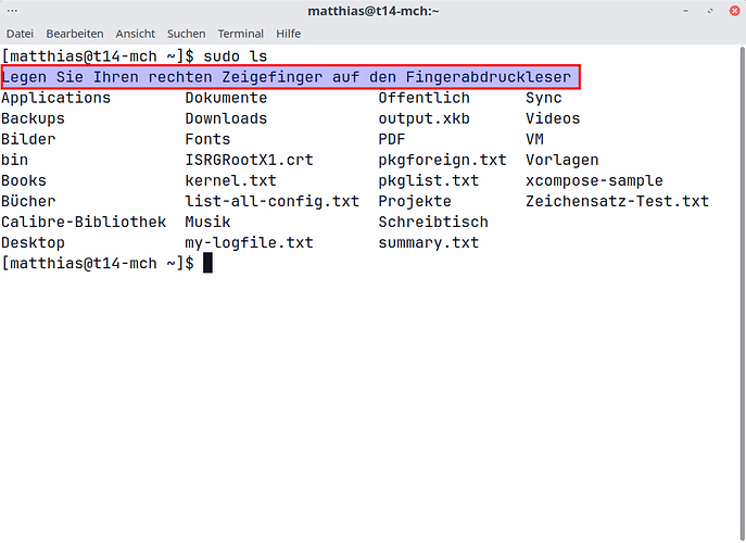 sudo fingerprint prompt in a terminal