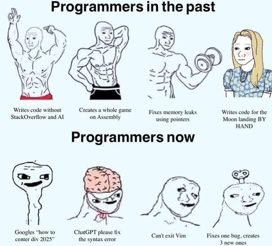 programmers