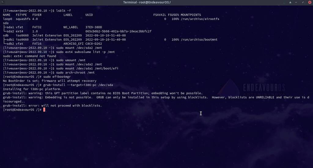 Grub not booting newbie endeavouros