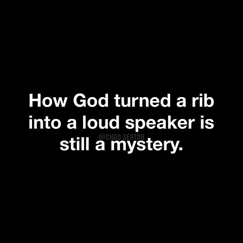 loudspeakerrib