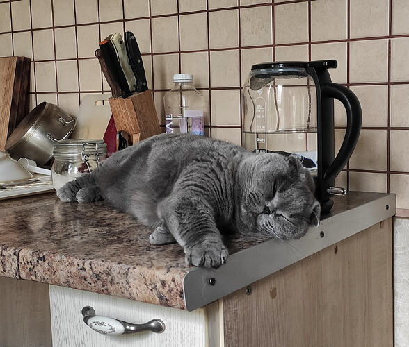 IMG_20250524_125247-01