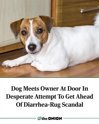 3f287888-b390-4819-b5d6-00c409e77f65