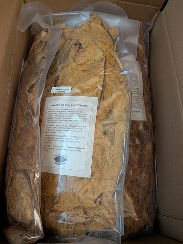 PXL_20251204_212208500