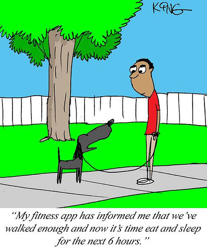 fitnessapp
