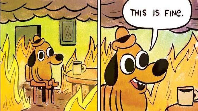 this-is-fine-150364364