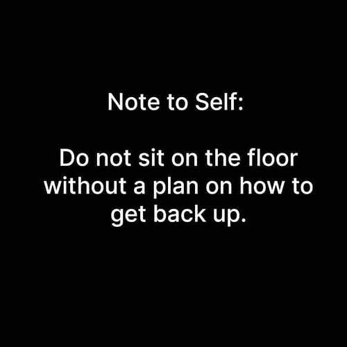 note-self-do-not-sit-on-floor-without-plan-on-get-back-up