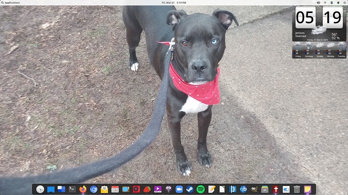 Screenshot from 2023-03-31 17.19.55