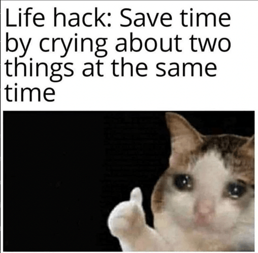 life-hack-save-time-by-crying-about-two-things-at-same-time