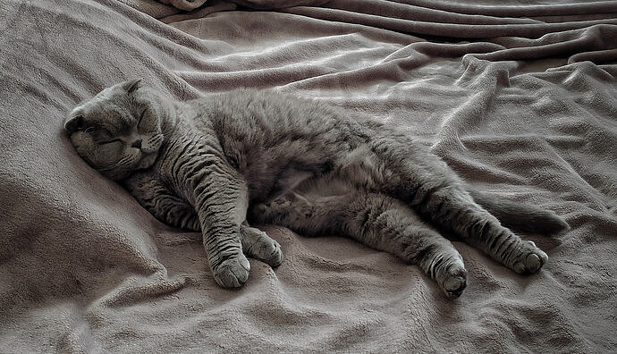 IMG_20220909_131728-01