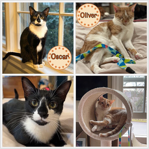 1a5cb68a-6fd5-4d94-9b4e-25061c6f9959