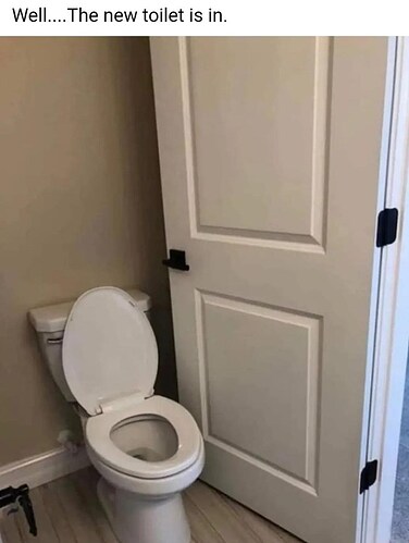 well-new-toilet-is