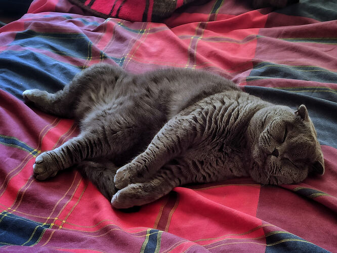 IMG_20200422_184326-01