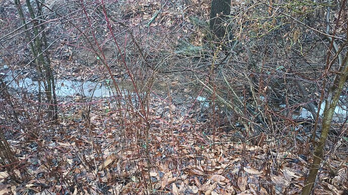 IMG_20240124_080837968