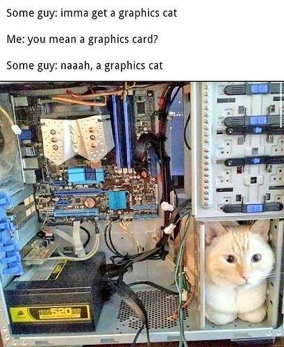 graphicscat