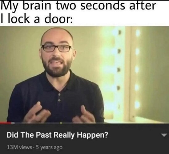 my-brain-two-seconds-after-lock-door-did-past-really-happen-13m-views-5-years-ago