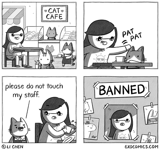 catcafe