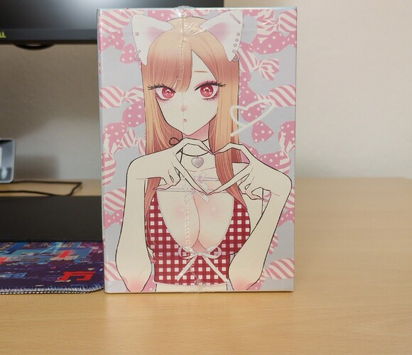 More than a doll (My Dress-up Darling) 3