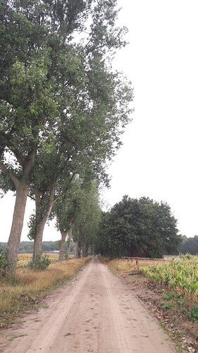 20180817_085610