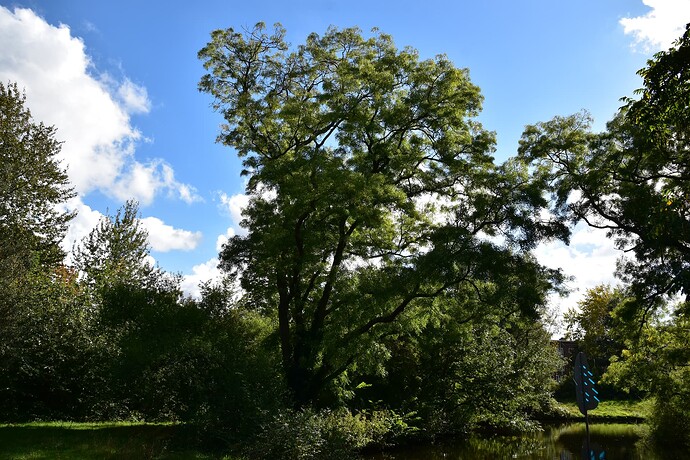 DSC_0400