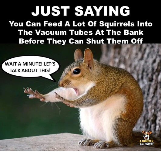 vacumtubesquirrels