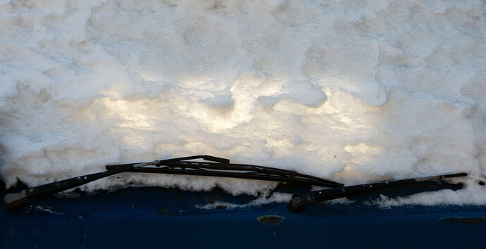2012.01.28_SAM_2101_LR