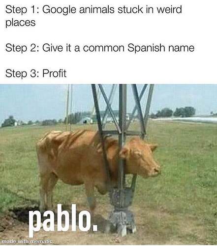 1-Pablo