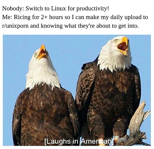 xlnkk9tbqqo21