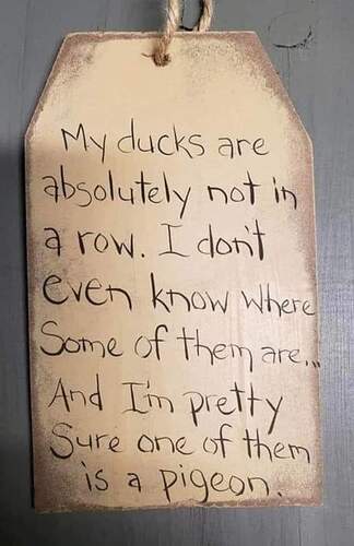 FB_IMG_1693349017571