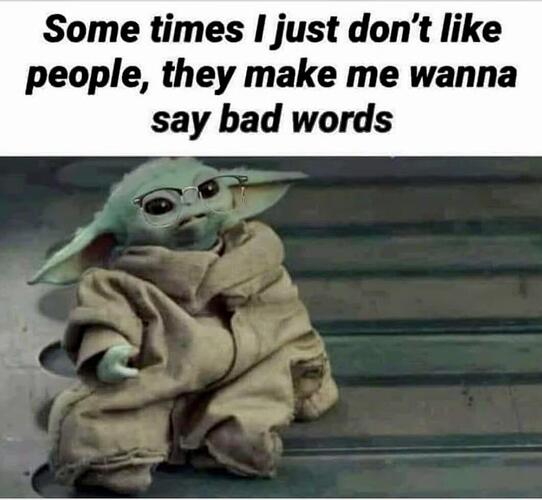saybadwords