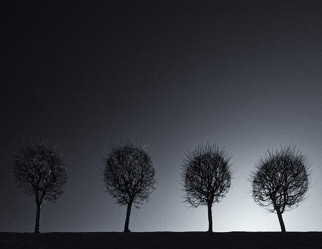 2012.03.07_SAM_2302_LR