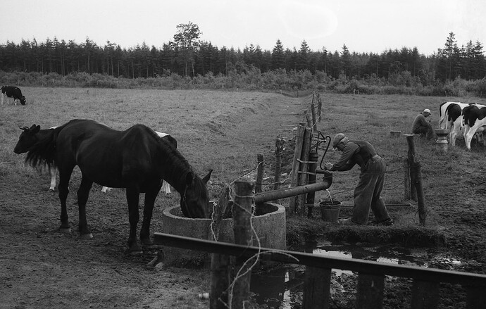 img20201010_18073152