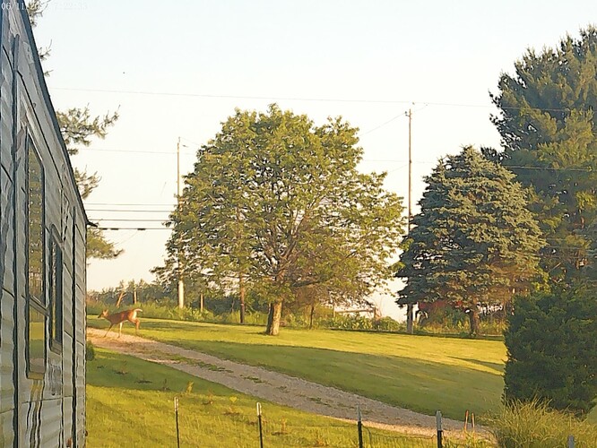 ANMP0011