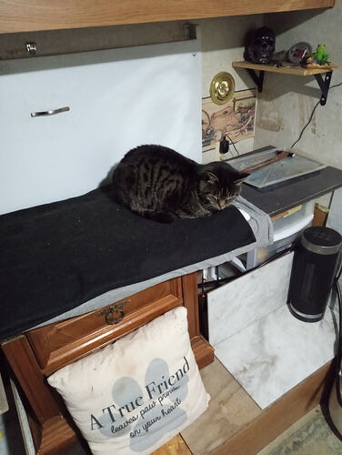 IMG_20251212_055027771