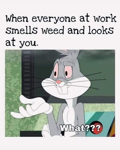 419732698_807307784741757_3509354083804122362_n