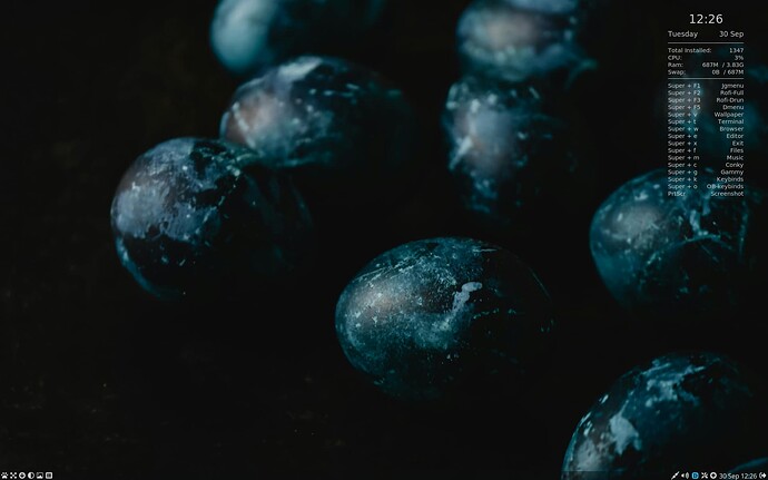 lilidog_25.09.29_clean