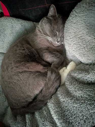 IMG_20251206_154835_128