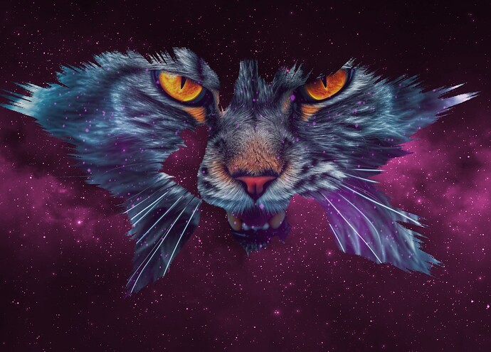 spacekitty2